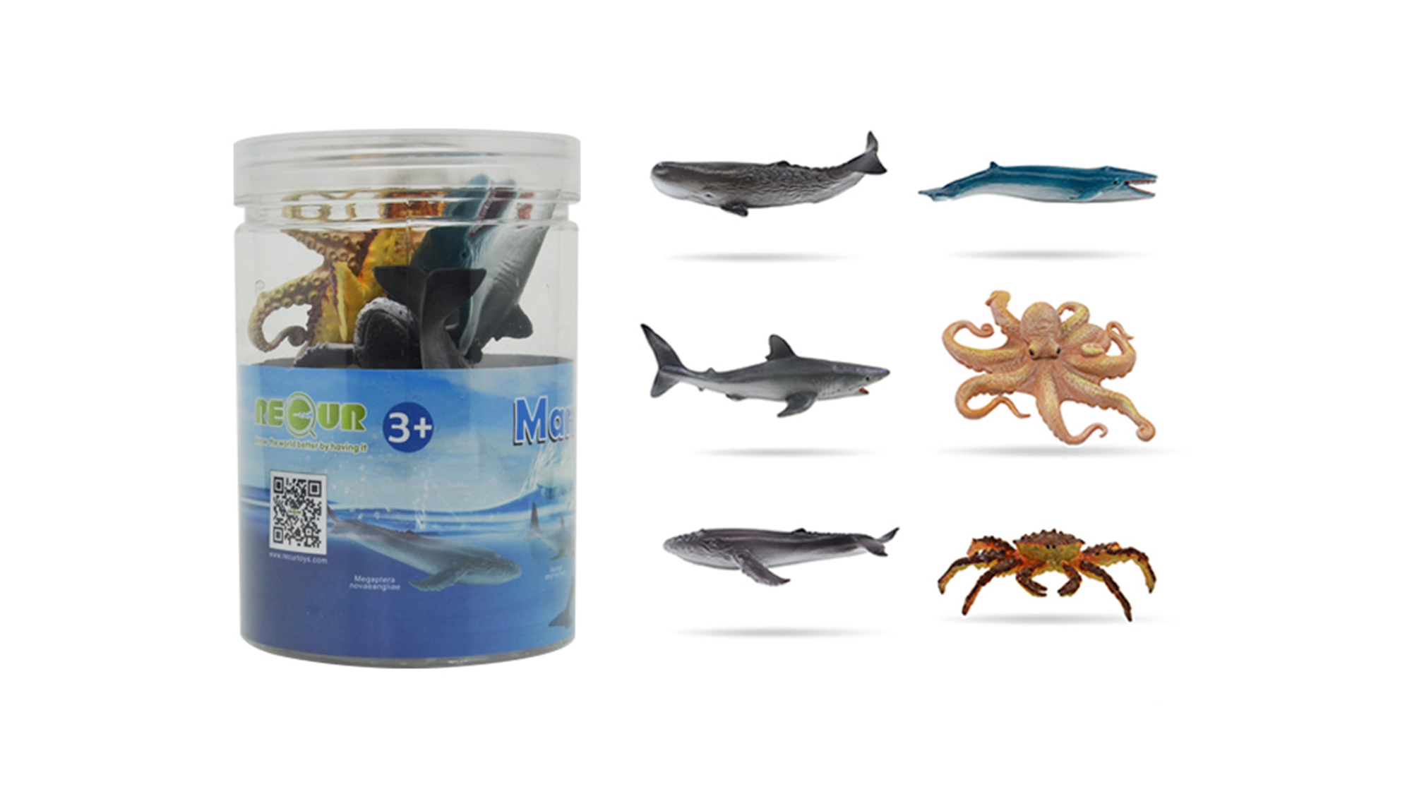 Under the Sea Adventures with Sea Animal Toys